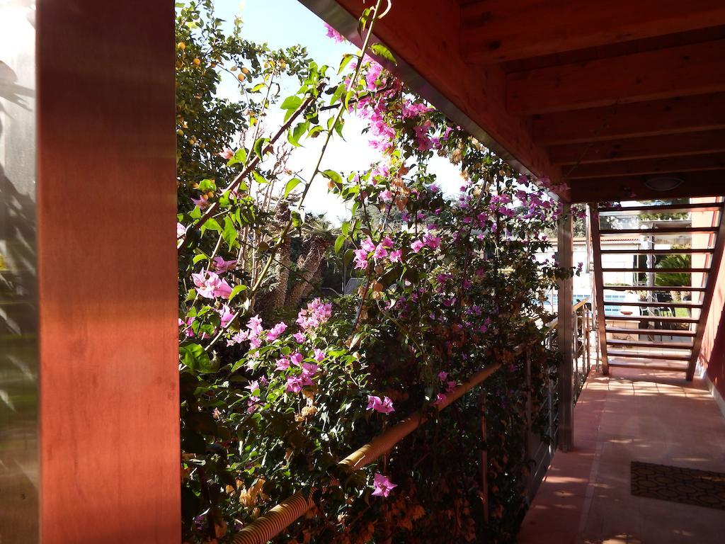 B&B Albaluna Valenzano Exterior photo